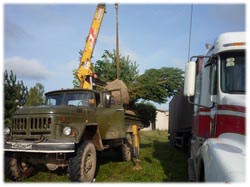 посадочный материал, садовый центр