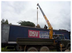 посадочный материал, садовый центр