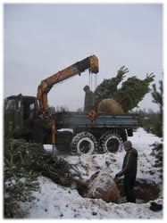 посадочный материал, садовый центр