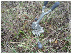 посадочный материал, садовый центр