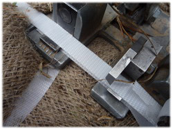 посадочный материал, садовый центр