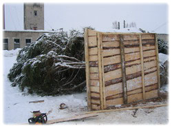 посадочный материал, садовый центр