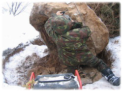 посадочный материал, садовый центр