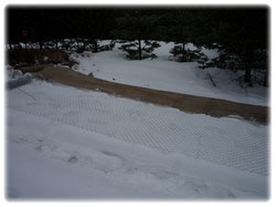 посадочный материал, садовый центр