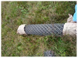 посадочный материал, садовый центр