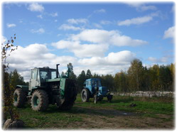 посадочный материал, садовый центр