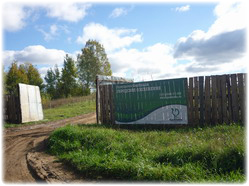 посадочный материал, садовый центр