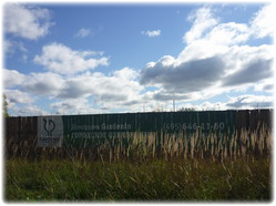 посадочный материал, садовый центр