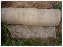 посадочный материал, садовый центр