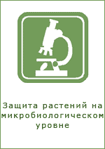 посадочный материал