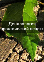 посадочный материал