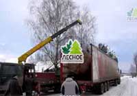 посадочный материал