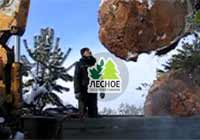 посадочный материал