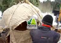посадочный материал