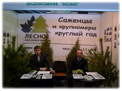 доставка деревья, посадочный материал